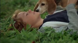 Zachary-Browne-Shiloh-2-Shiloh-Season-shiloh-2-shiloh-season-1999-30555098-608-336