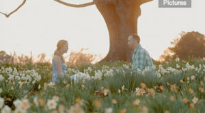 Screen-Shot-2014-05-03-at-6.11.35-PM